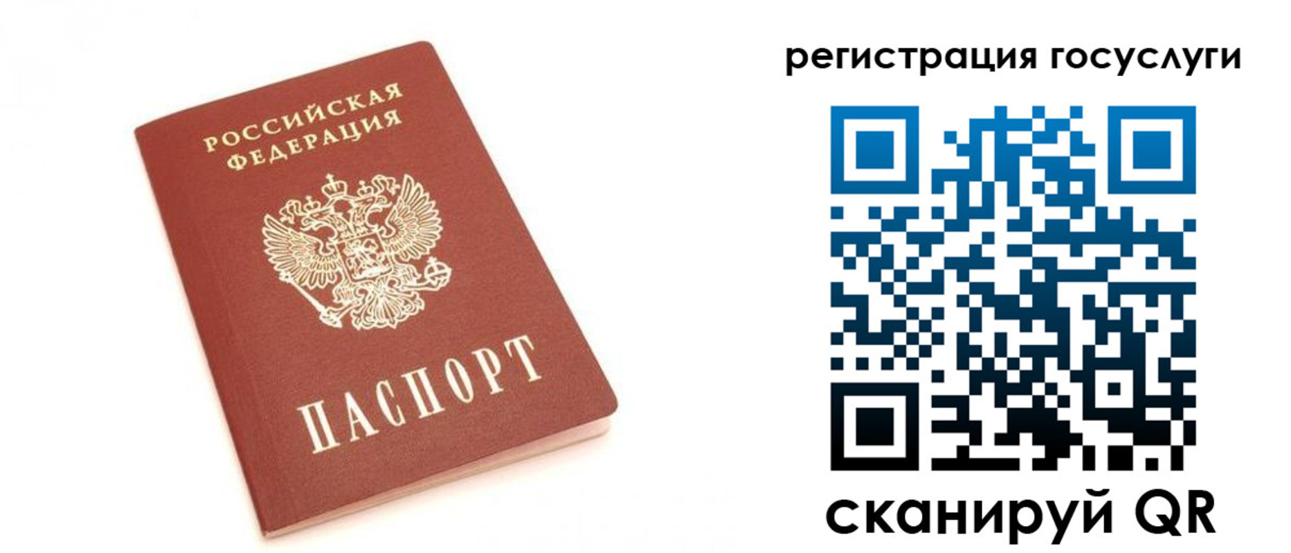 прописка для школы в Полярных Зорях